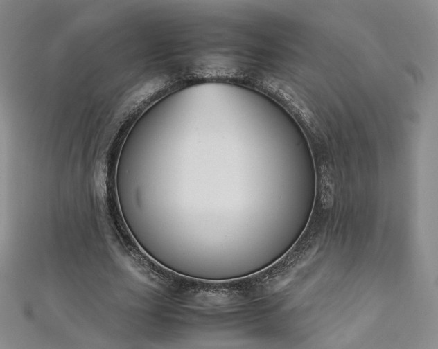 X0000112870631200908281625