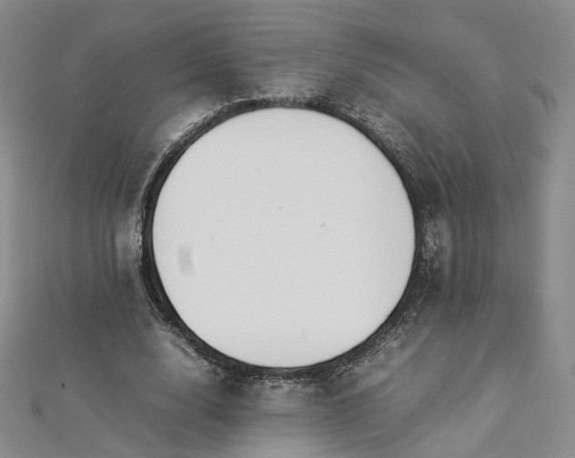 X0000112870632200908281625