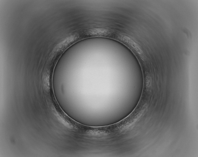 X0000112870633200908281625