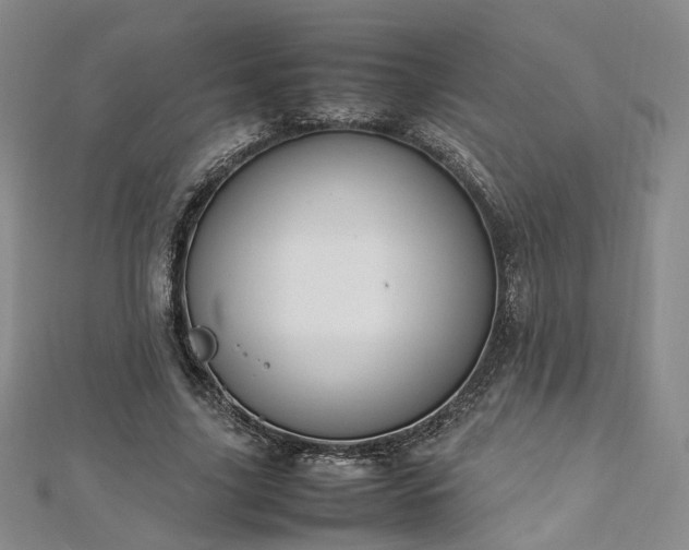 X0000112870635200908281625