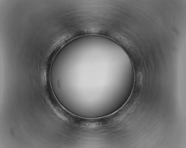 X0000112870638200908281625