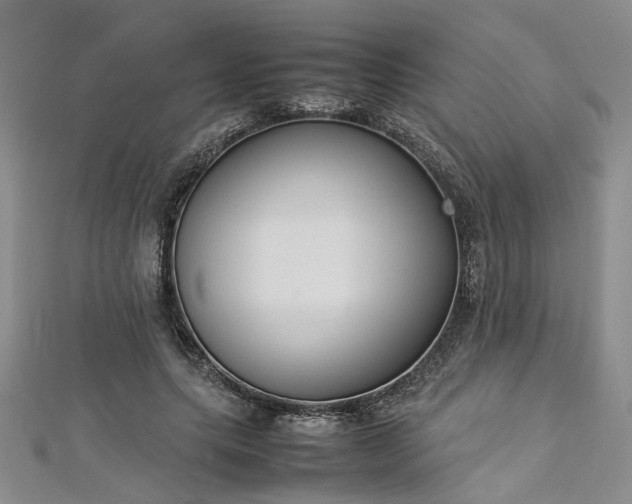 X0000112870639200908281625