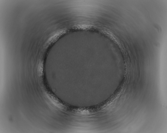 X0000112870640200908281625