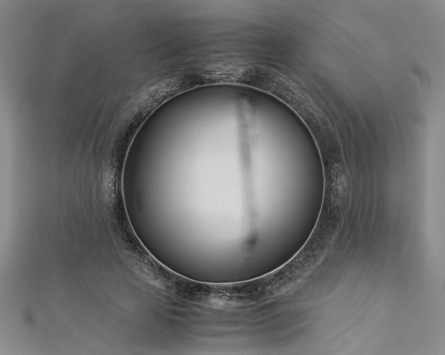 X0000112870641200908281626