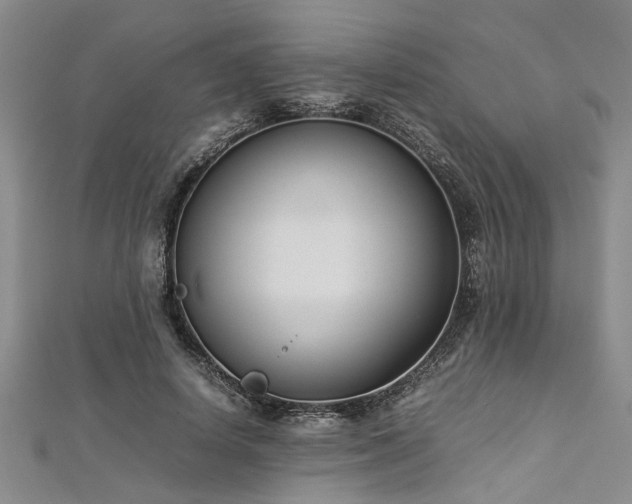 X0000112870642200908281626