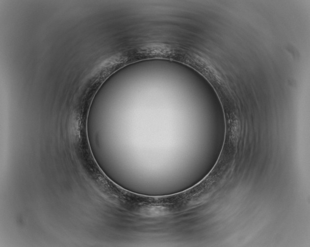 X0000112870643200908281626