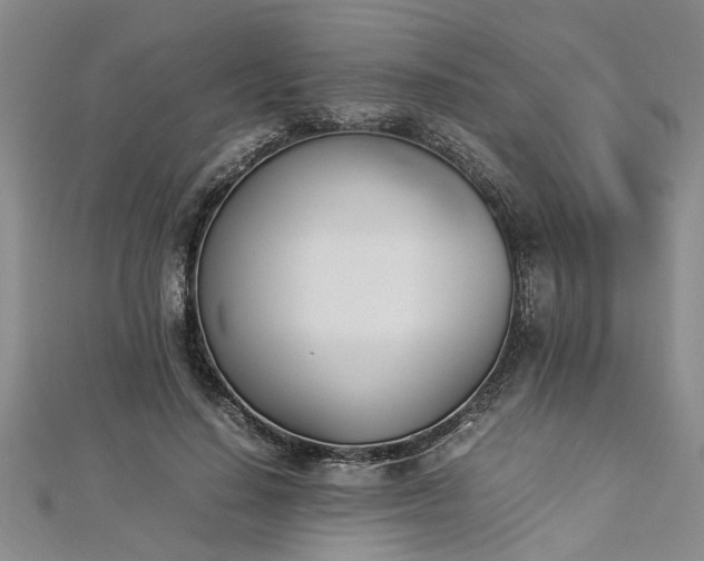 X0000112870644200908281626