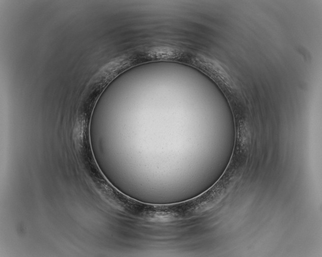 X0000112870645200908281626