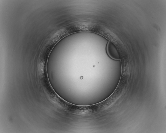 X0000112870646200908281626