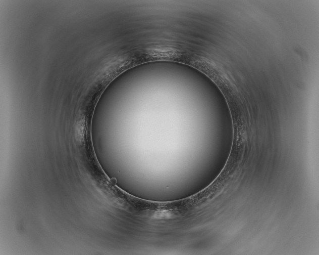 X0000112870647200908281626