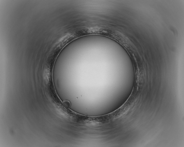 X0000112870648200908281626