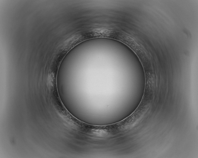 X0000112870649200908281626