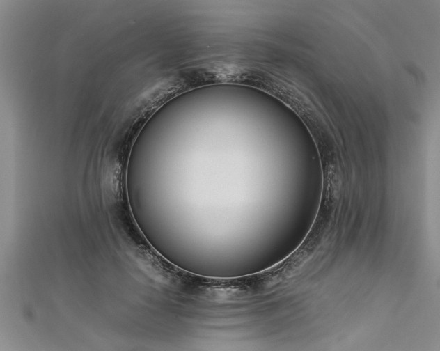 X0000112870650200908281626