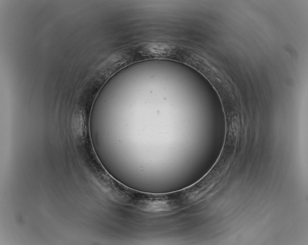 X0000112870651200908281626