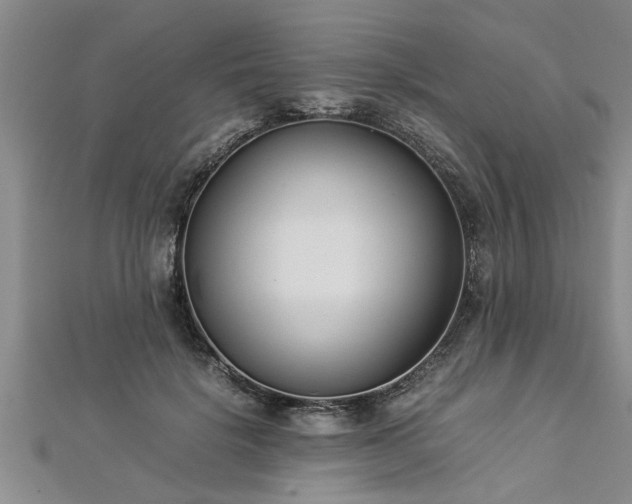 X0000112870652200908281626