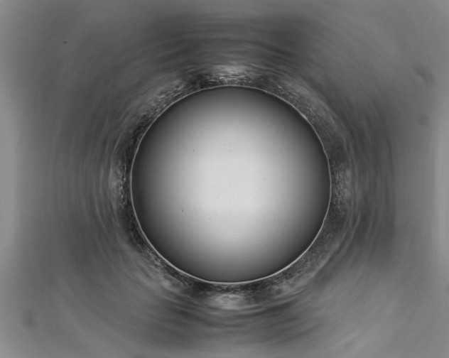 X0000112870653200908281626