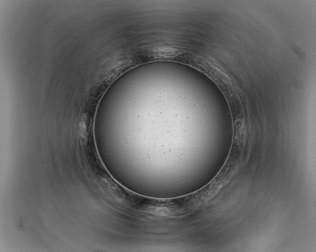 X0000112870655200908281626