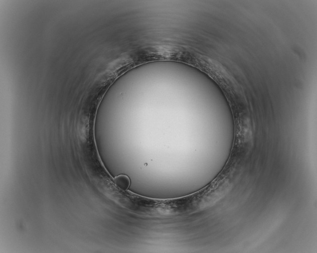 X0000112870656200908281626