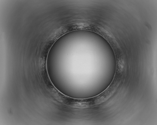 X0000112870657200908281626