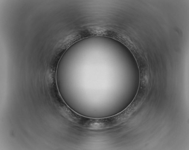 X0000112870658200908281626