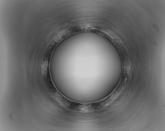 X0000112870660200908281626