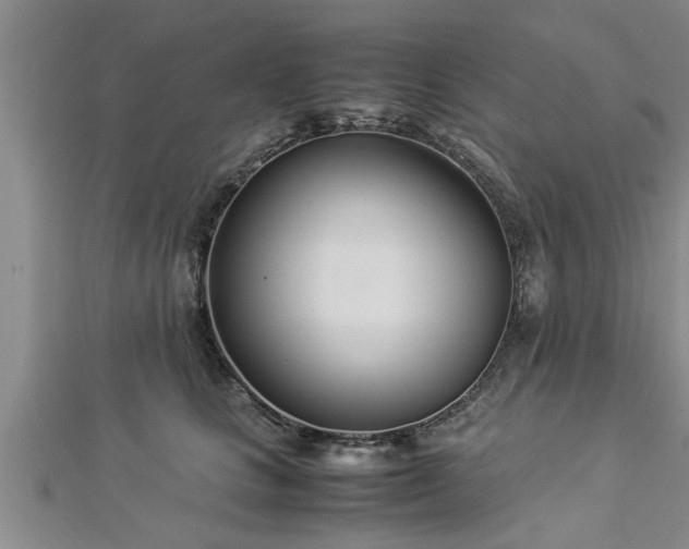 X0000112870661200908281626