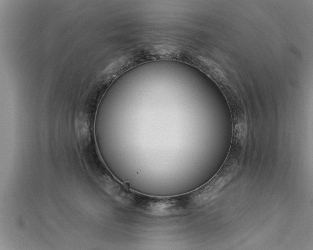 X0000112870662200908281626