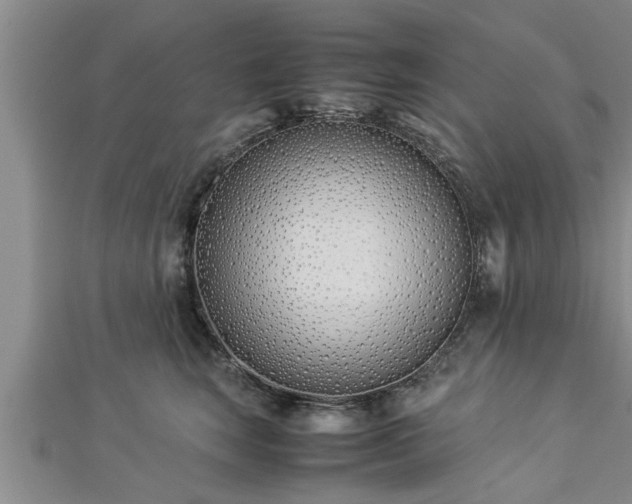 X0000112870663200908281626