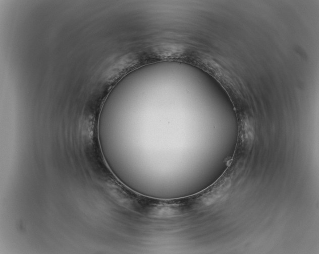 X0000112870664200908281626