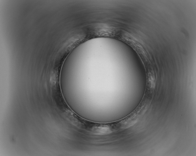 X0000112870665200908281626