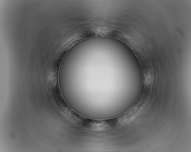 X0000112870666200908281626