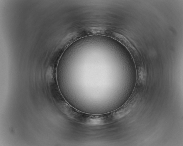 X0000112870667200908281626