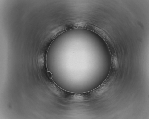 X0000112870668200908281626