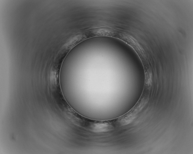 X0000112870669200908281626