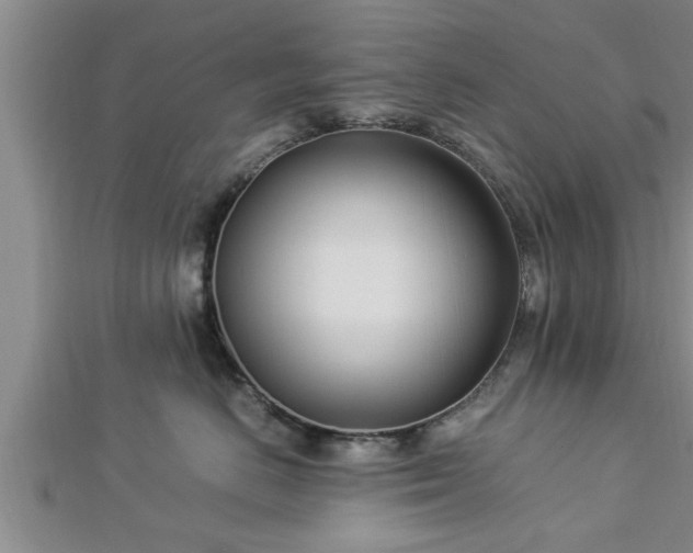 X0000112870670200908281626