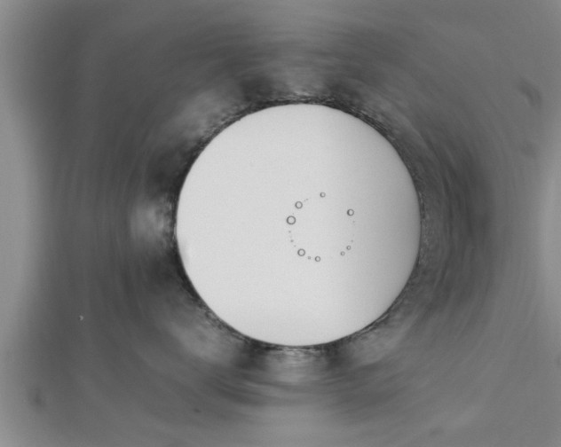 X0000112870672200908281626