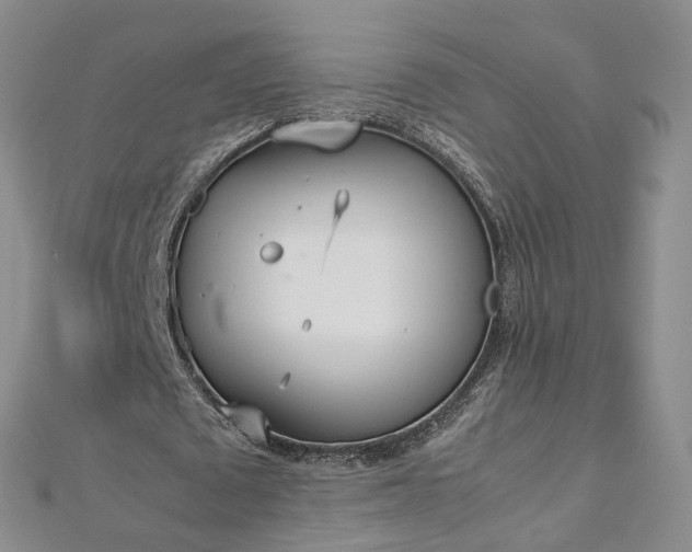 X0000112870673200908281625