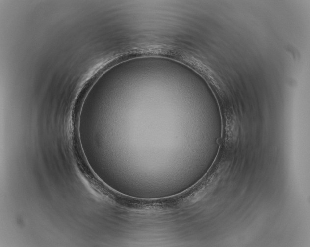 X0000112870674200908281625