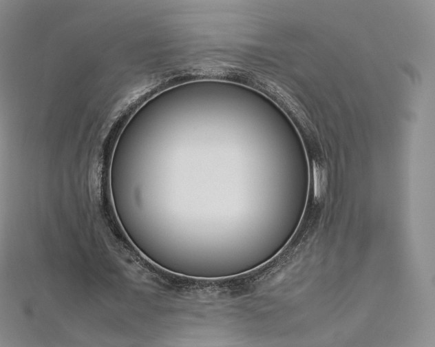 X0000112870675200908281625