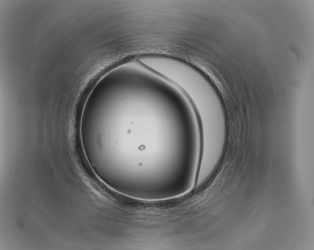 X0000112870677200908281625