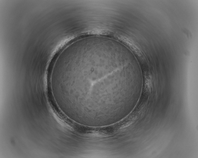 X0000112870678200908281625