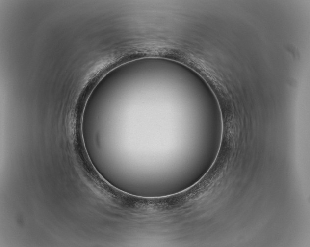 X0000112870679200908281625