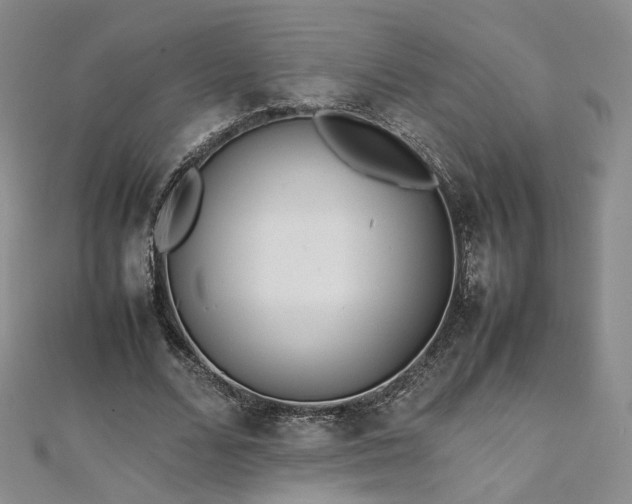 X0000112870680200908281625