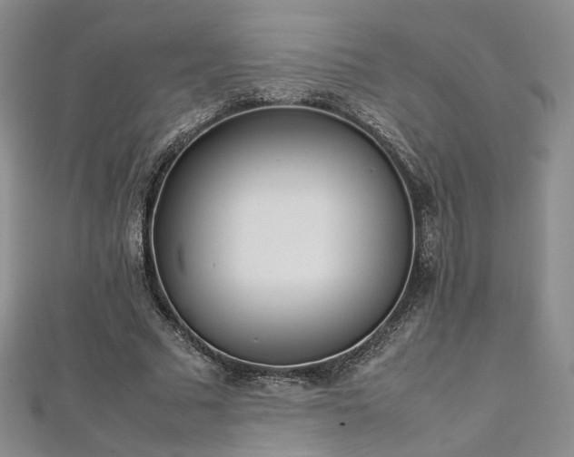 X0000112870681200908281625