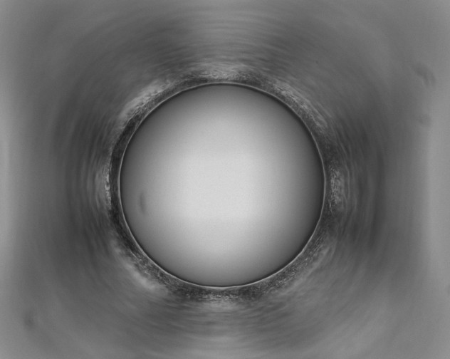 X0000112870682200908281625