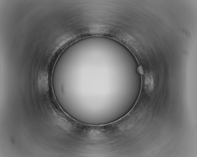 X0000112870684200908281625