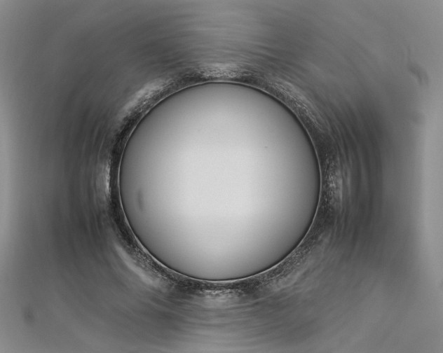 X0000112870686200908281625