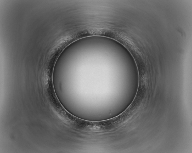 X0000112870687200908281625