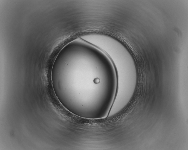 X0000112870688200908281625