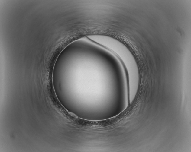 X0000112870689200908281625